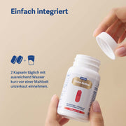 Gluco Active+ - Belnutris