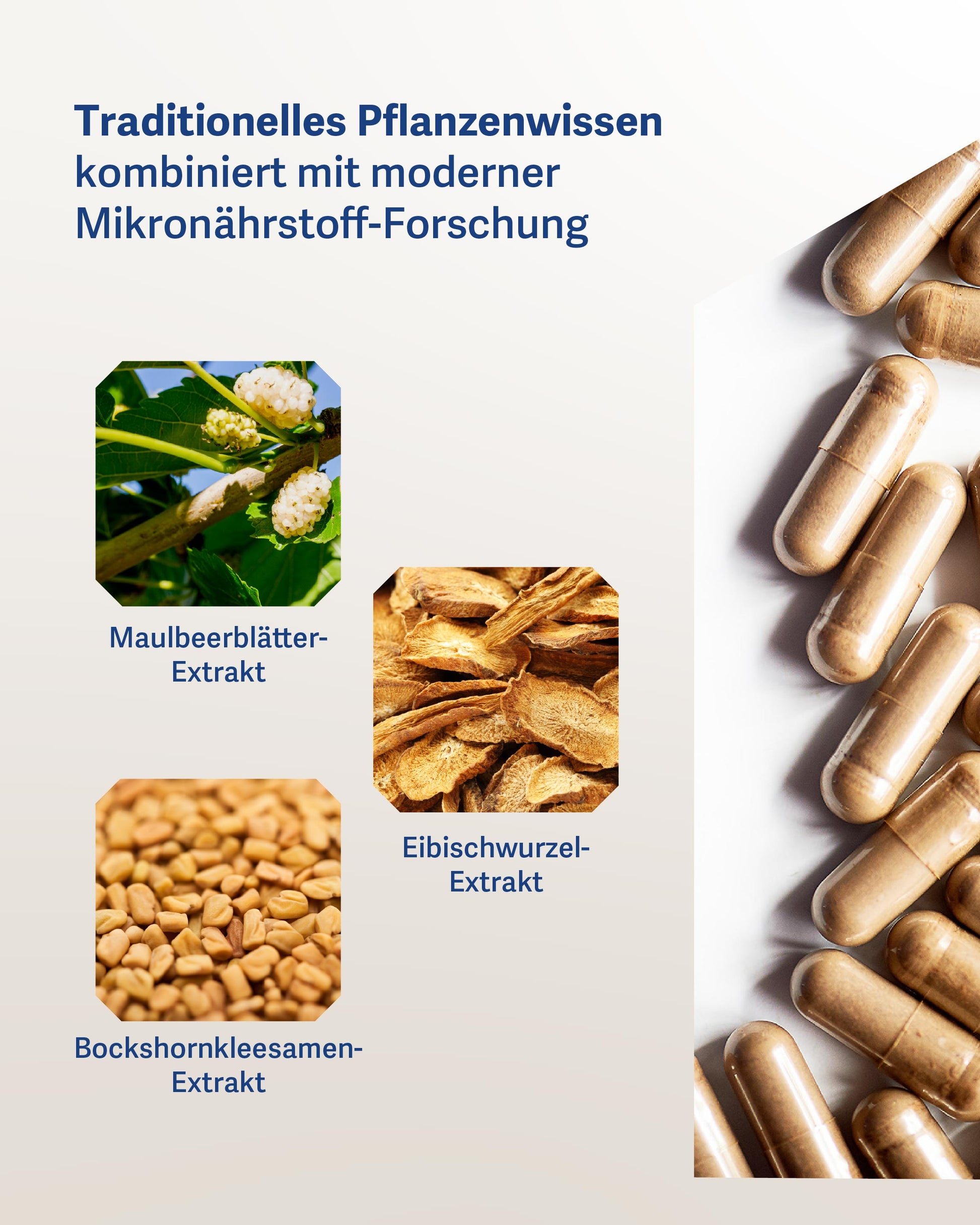 Gluco Active+ - Belnutris